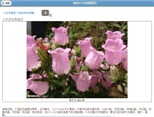 Tablet Screenshot of 18flower.mmhot.tw